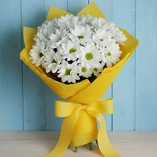 Букет цветов из:  Хризантемы в Каменке Пензенской области