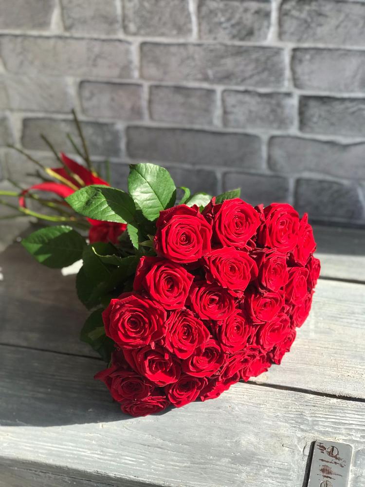 Букет Красные розы Фридом в Каменке Пензенской области