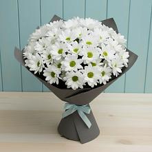 Букет цветов из:  Хризантемы в Каменке Пензенской области