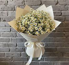 Букет цветов из:  Ромашки в Каменке Пензенской области