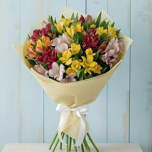 Букет цветов из:  Альстромерии в Каменке Пензенской области