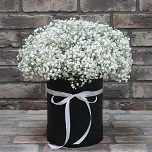 Цветочная композиция из Гипсофила в шляпной коробке в Каменке Пензенской области