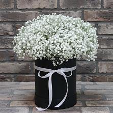 Цветочная композиция из Гипсофила в шляпной коробке в Каменке Пензенской области