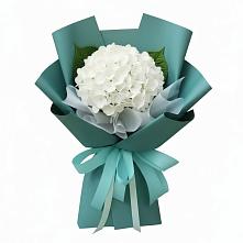 Букет цветов из:  Гортензия в Каменке Пензенской области